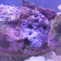 Photo0024