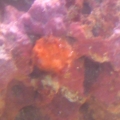 Photo0026