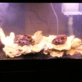 Photo0028
