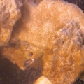 Photo0030