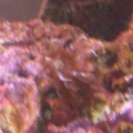 Photo0033
