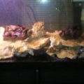 Photo0036