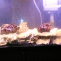 Photo0037