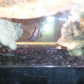 Photo0038