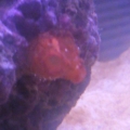 Photo0039