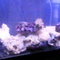 Photo0042