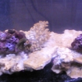 Photo0043