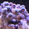 Photo0051