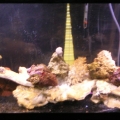 Photo0054