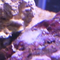Photo0056
