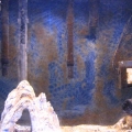 My 20g aquarium