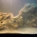 1st SW tank - Front