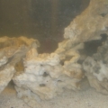 Front Close Up
