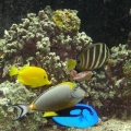 DSCN22781