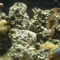 DSCN2279