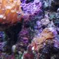 DSC00546