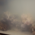 SandStorm