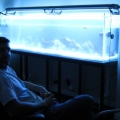 tank pics