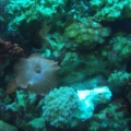 GEDC0692-2