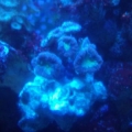 GEDC0716-2