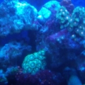 GEDC0717-2
