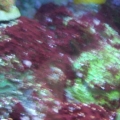 GEDC0722-2