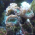 GEDC0743-2