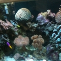 photo6