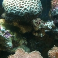 photo_2_