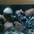 photo_3_