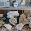 Live Rock Base Rock