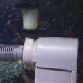 Remora Protein skimmer