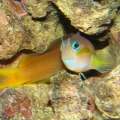 DSC09563
