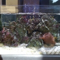 Front view of my Neo Nano