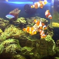 Snapshot_20100725_2