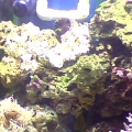Snapshot_20100725_3