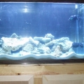 my 125 gal tank