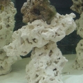New Tank Aquascape