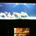 1st Tank
