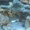 125 gal tank