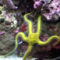 photo7