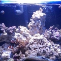 46 gallon bow front