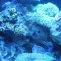 IMG_1535m