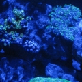 IMG_1538j