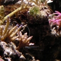 SANY0044