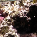 SANY0045