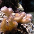 SANY0047