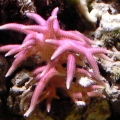 SANY0048