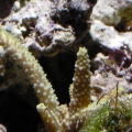 SANY0049