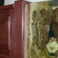 my reef